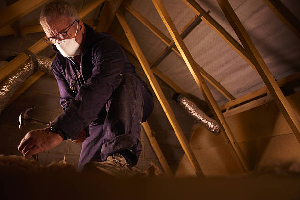 Professional Insulation Contractor in VT